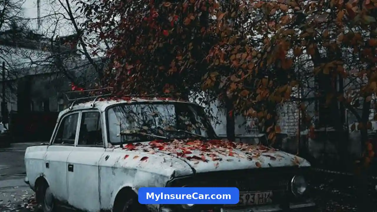 Can You Pause Car Insurance Temporarily? Can You Pause Car Insurance Temporarily?