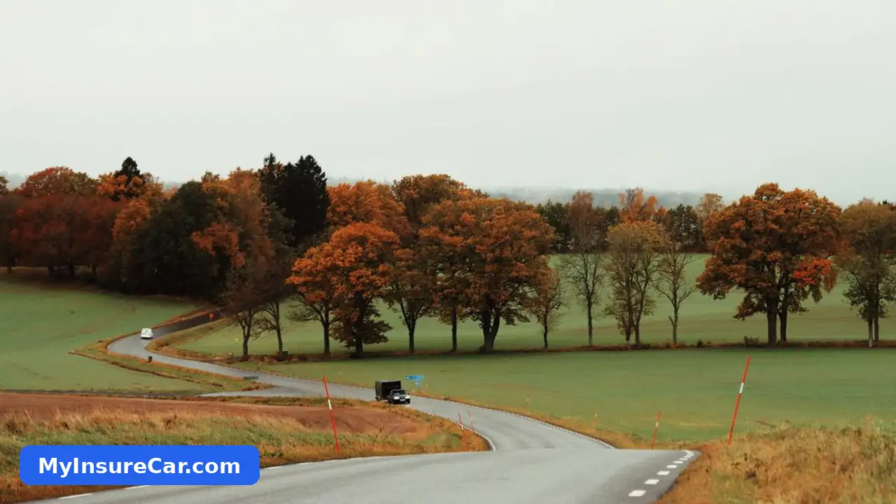 A rural road winding through green fields lined with autumn-colored trees