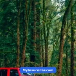 Cheap Car Insurance in Oregon That Actually Works