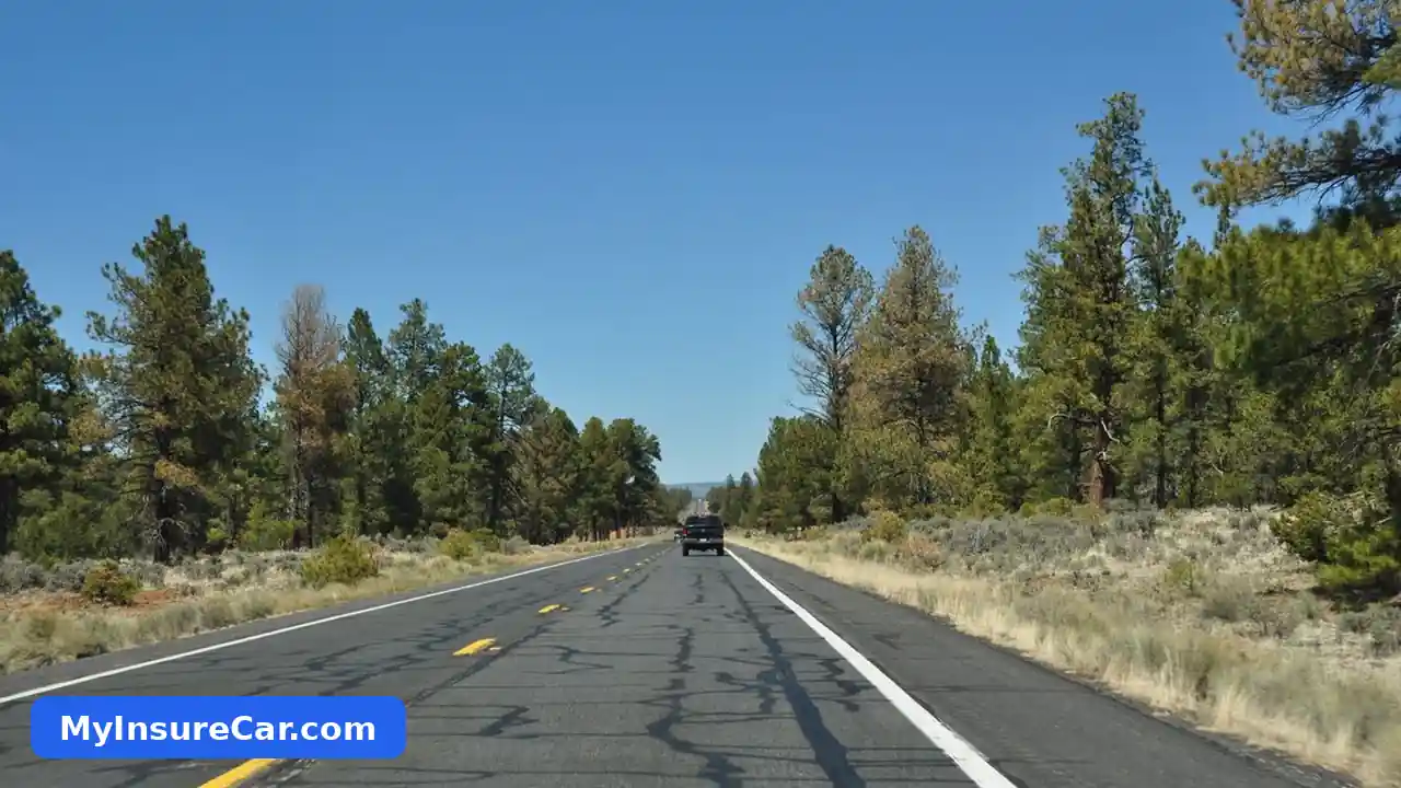 Car driving on a Texas highway